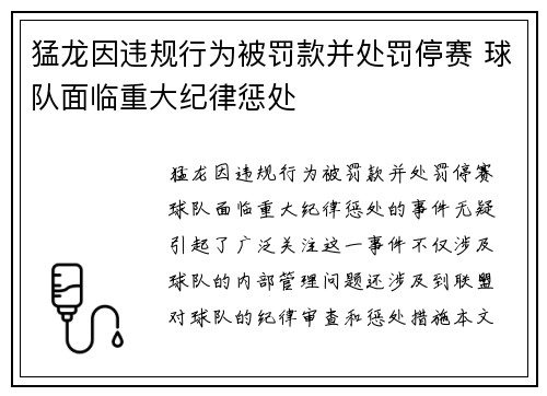 猛龙因违规行为被罚款并处罚停赛 球队面临重大纪律惩处